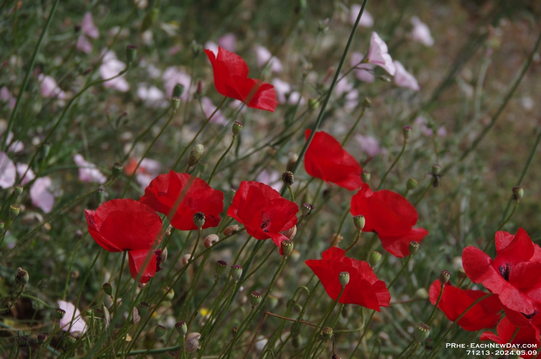 71213 - Footsteps of Paul - Exploring the ruins of Philippi